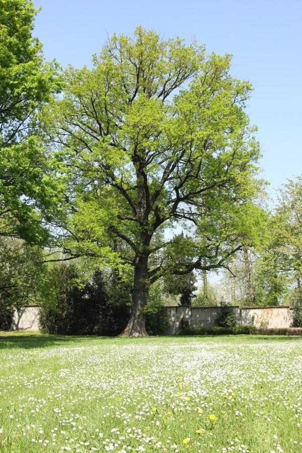 Storica Quercia B&B Nerviano Exteriör bild